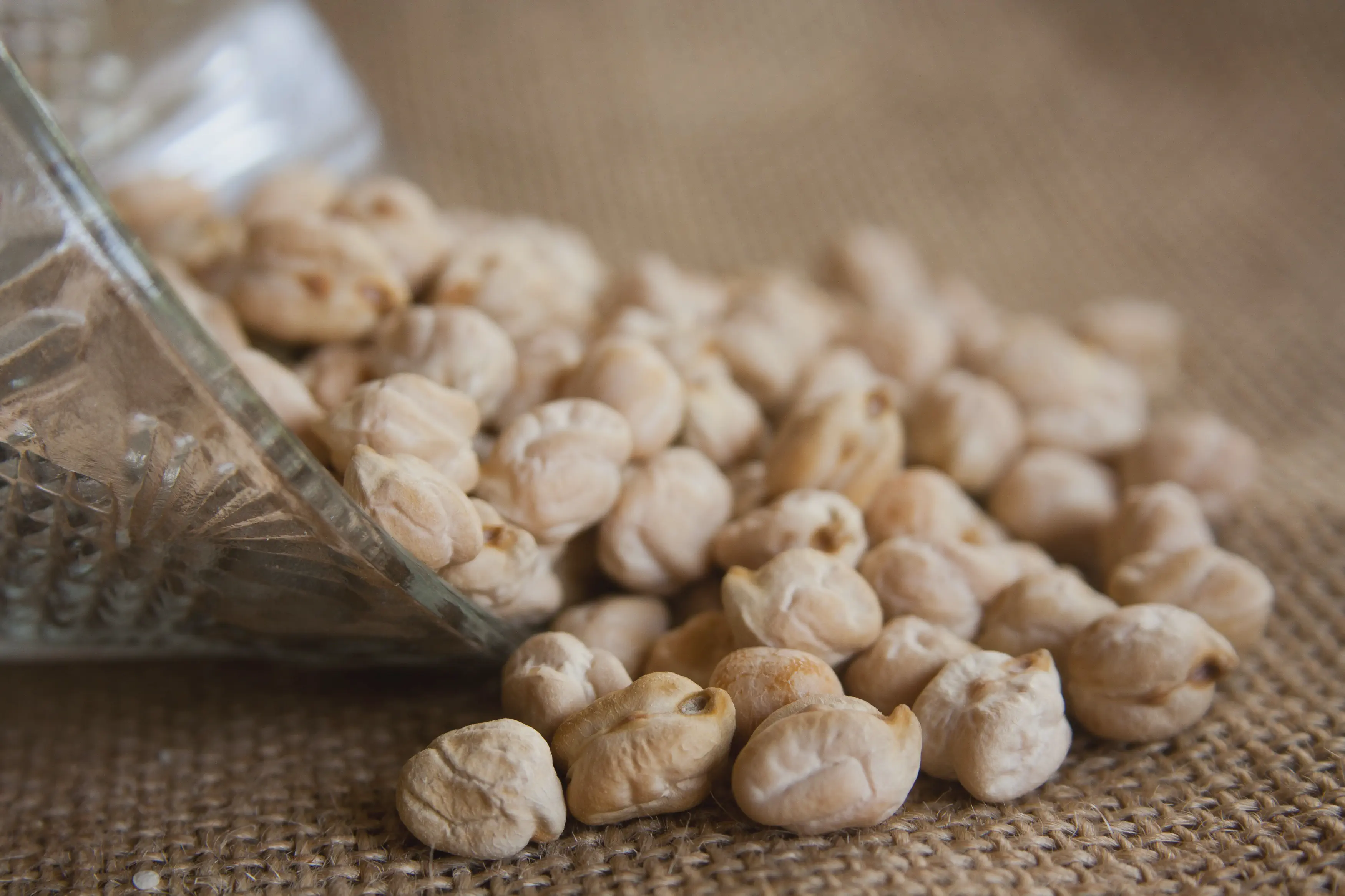 Chickpea Essence